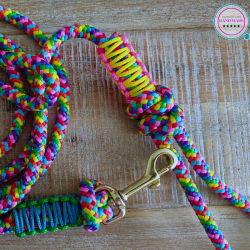 LGBTQ+ Halter & Lead Rope