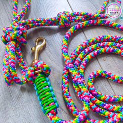 LGBTQ+ Halter & Lead Rope