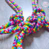 LGBTQ+ Halter & Lead Rope