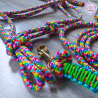 LGBTQ+ Halter & Lead Rope