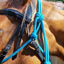 Blossom Halter & Lead Rope