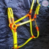 Stride Safely - Hi Vis Equipment for your horse