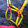 Stride Safely - Hi Vis Equipment for your horse