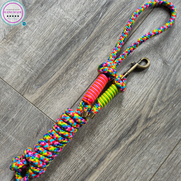 Handmade Lead Rope – Rainbow Pride Lead | Tack & Tails