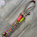 Handmade Lead Rope – Rainbow Pride Lead | Tack & Tails