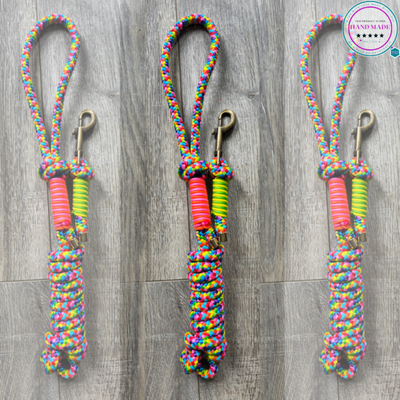 Handmade Lead Rope – Rainbow Pride Lead | Tack & Tails