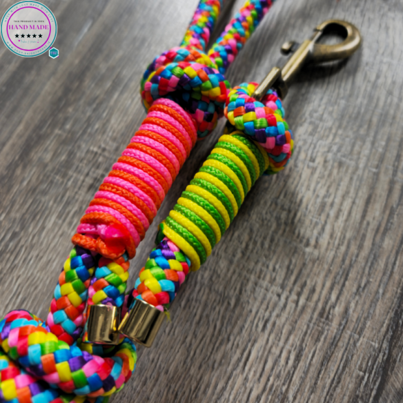 Handmade Lead Rope – Rainbow Pride Lead | Tack & Tails