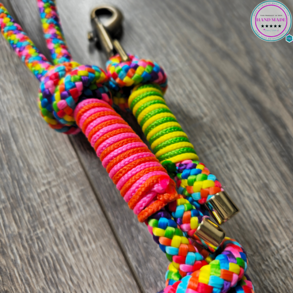 Handmade Lead Rope – Rainbow Pride Lead | Tack & Tails