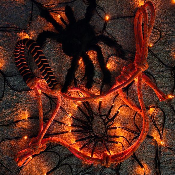 Handmade Rope Halter – Haunted | Tack & Tails