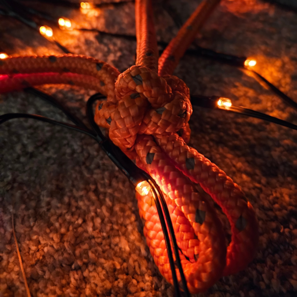 Handmade Rope Halter – Haunted | Tack & Tails