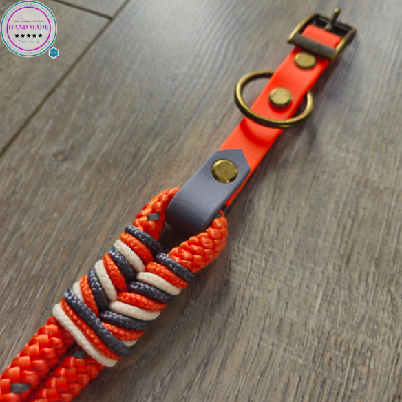 High-Vis Dog Collar – Amber Light Orange | Tack & Tails