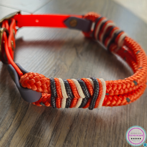 High-Vis Dog Collar – Amber Light Orange | Tack & Tails