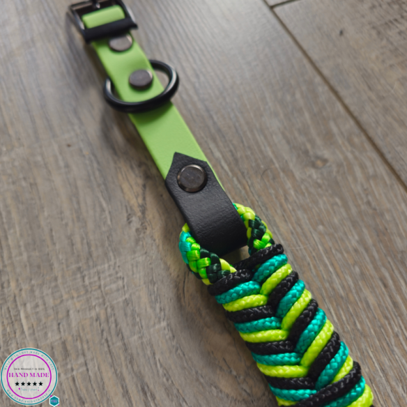 Handmade Dog Collar – Gecko Green Dog Collar | Tack & Tails