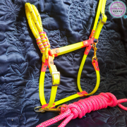 Safety Stride Collection – Hi-Vis Halters, Harnesses & Leads | Bright Horse